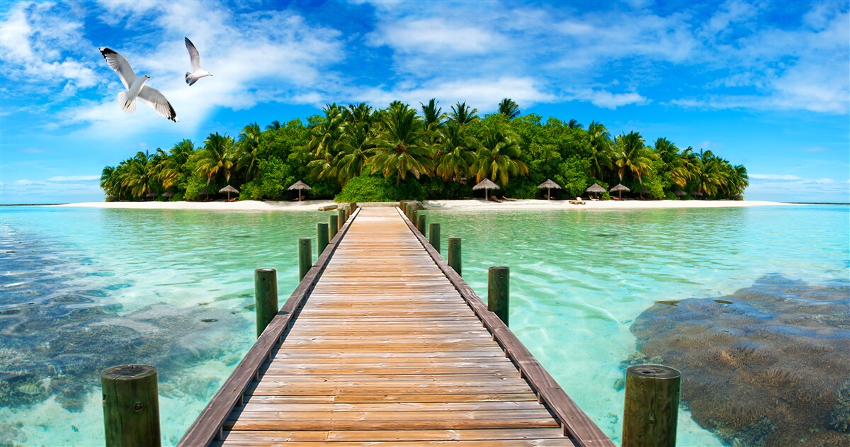 Carta da parati la strada per l'isola tropicale