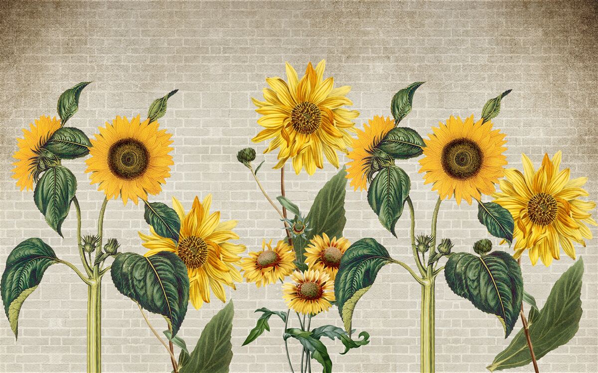 Carta da parati Muro di mattoni con girasoli in primo piano
