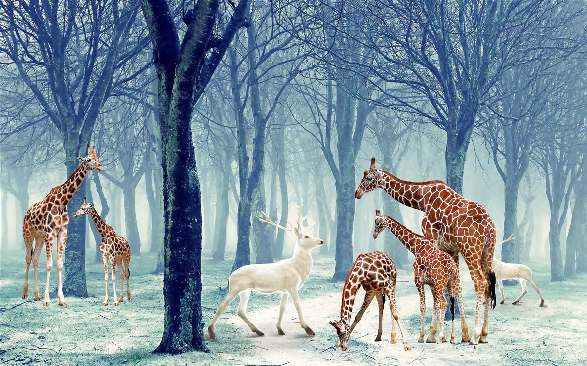 Carta da parati Le giraffe fanno un nuovo amico