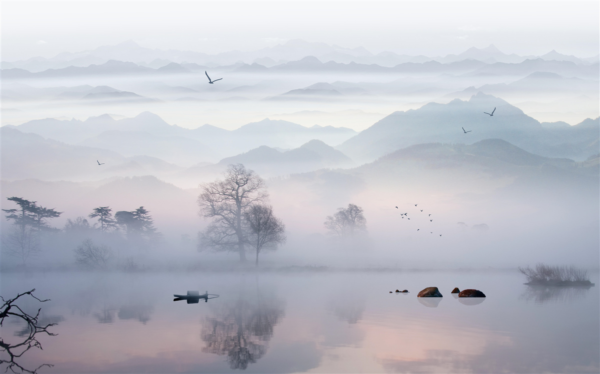 Carta da parati nebbia mattutina sull'acqua del lago