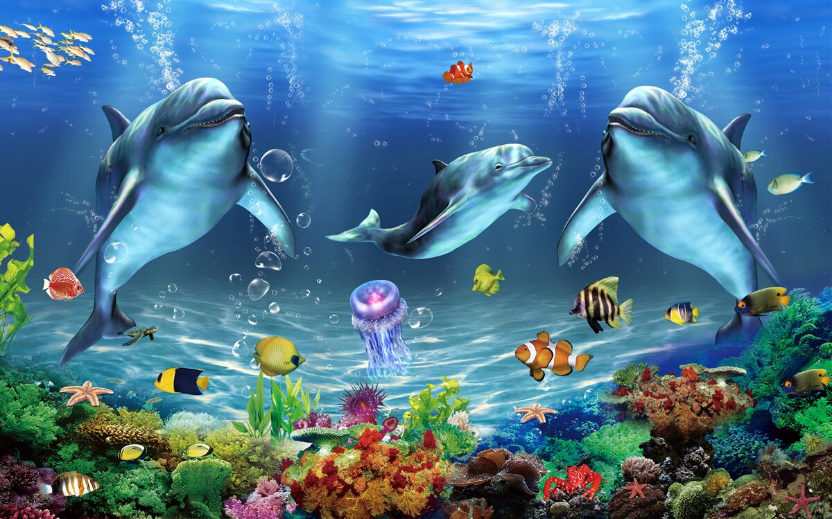 Carta da parati abitanti dell'acqua - delfini
