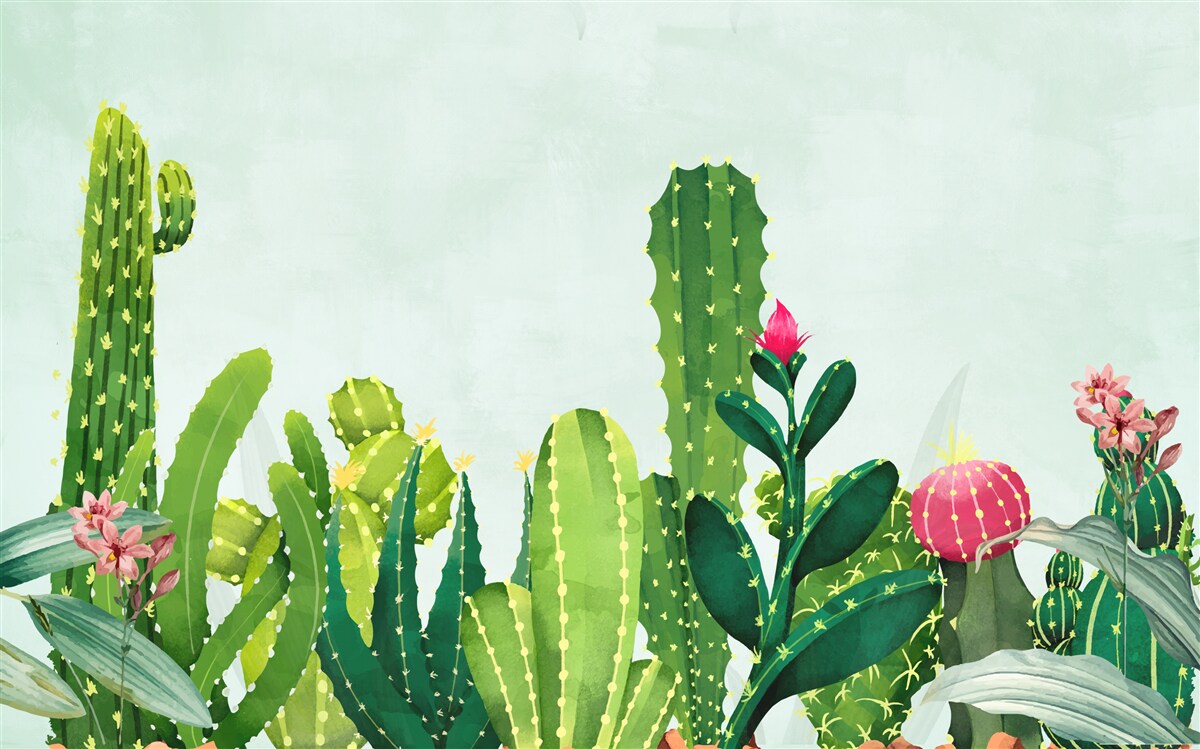 Carta da parati cielo blu con una cornice di cactus