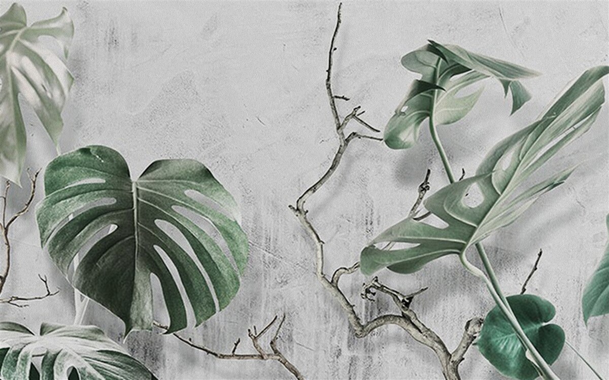Carta da parati Le foglie della monstera verde sono grandi