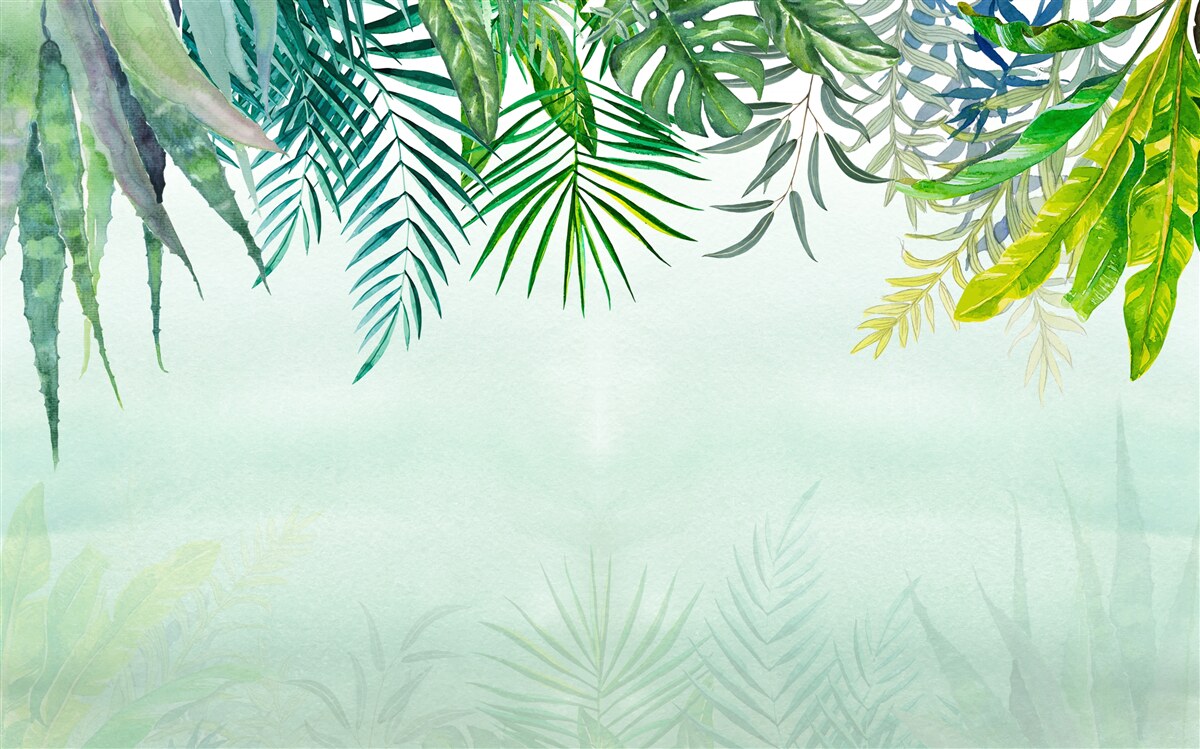 Carta da parati nebbia mattutina nel verde tropicale