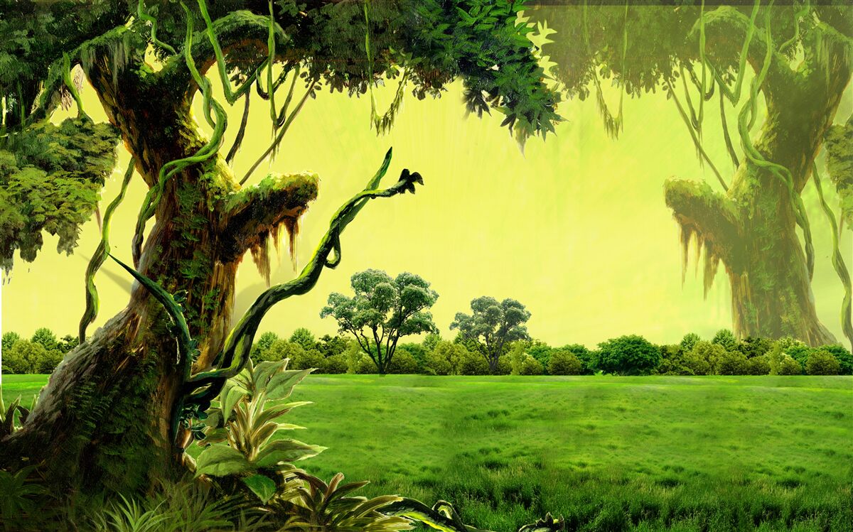 Carta da parati foresta verde mozzafiato