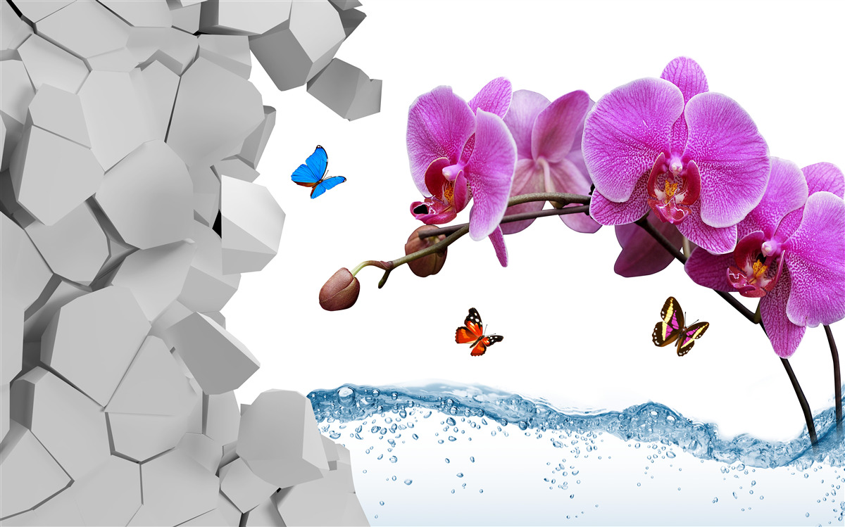 Carta da parati orchidea viola e farfalle su un ramo