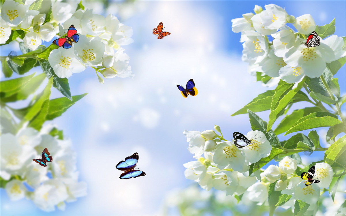 Carta da parati farfalle multicolori e fiori bianchi come la neve