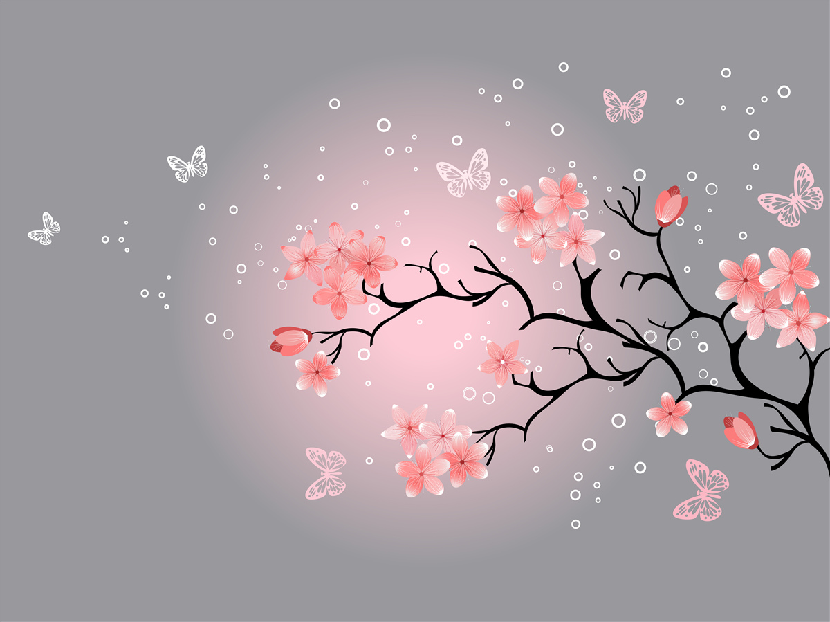 Carta da parati farfalle e un ramo di sakura