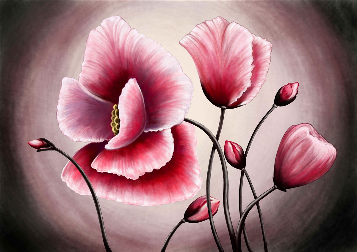 Carta da parati papaveri in fiore rosa