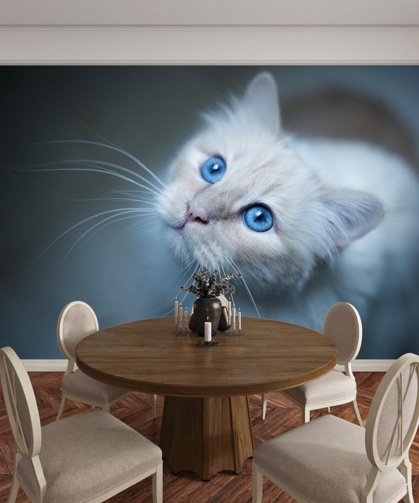 Carta da parati gattino con pelo bianco e occhi blu