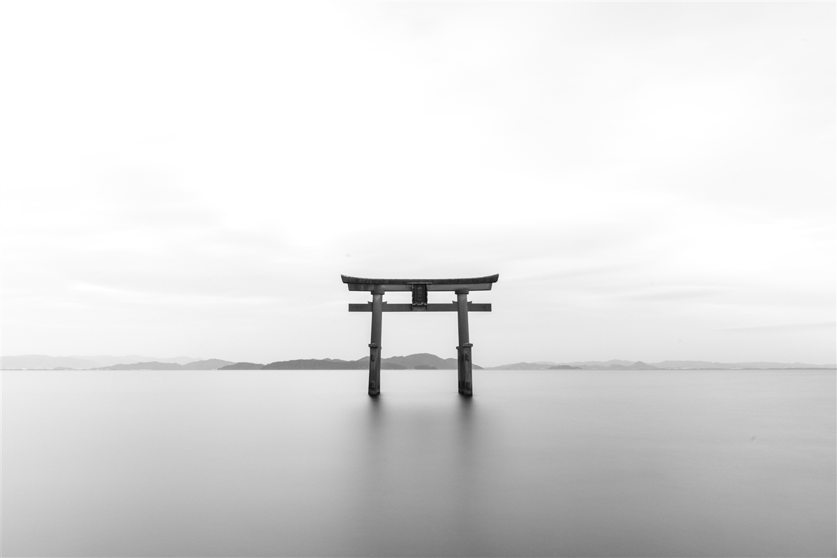 Carta da parati tori gate nell'oceano