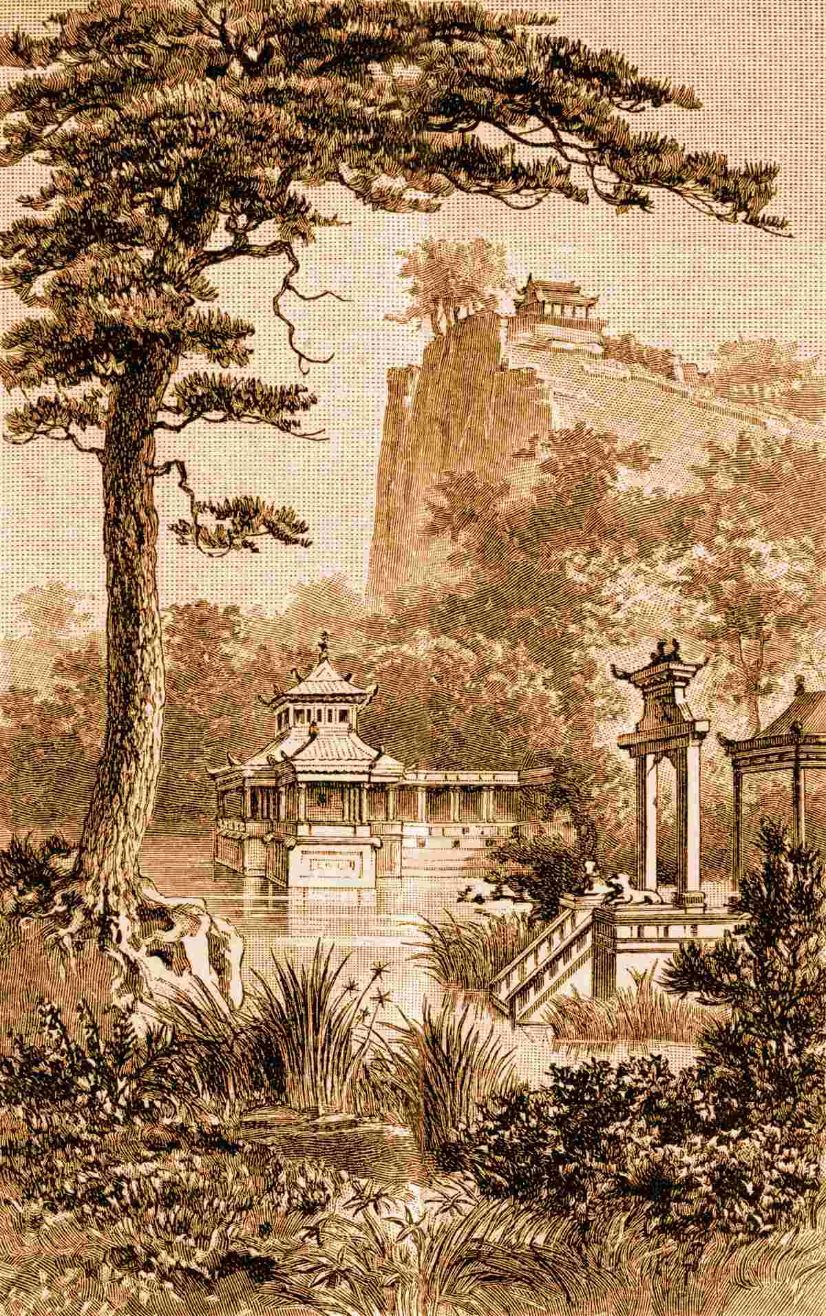 Carta da parati Un lussureggiante giardino cinese