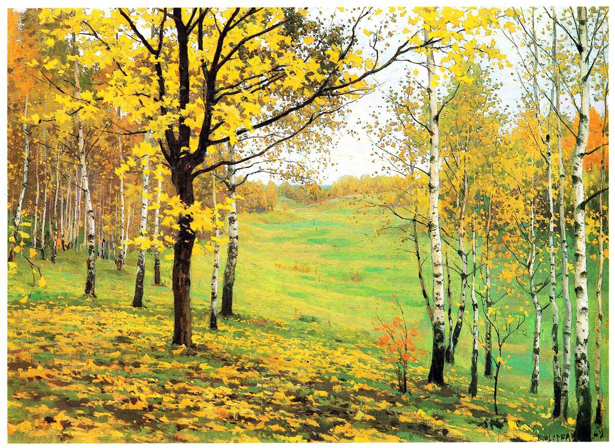 Carta da parati La foresta autunnale è avvolta da tonalità sorprendenti