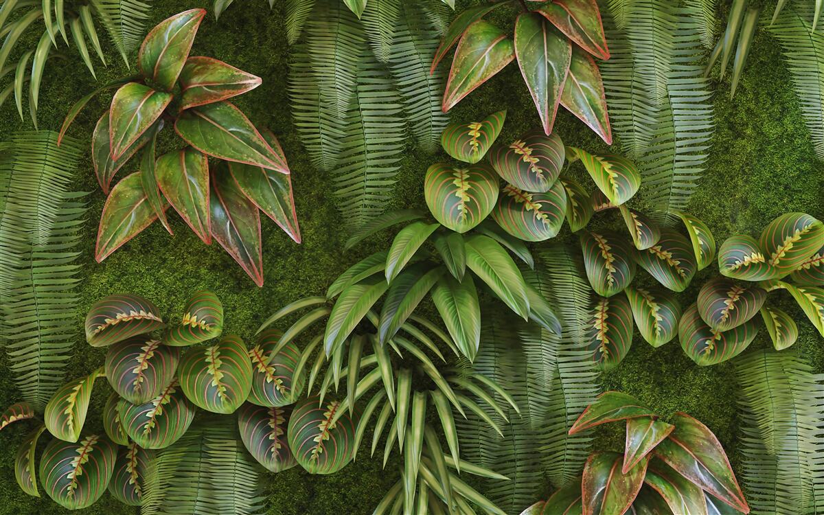 Carta da parati le foglie dei banani e delle felci sono di colore verde scuro