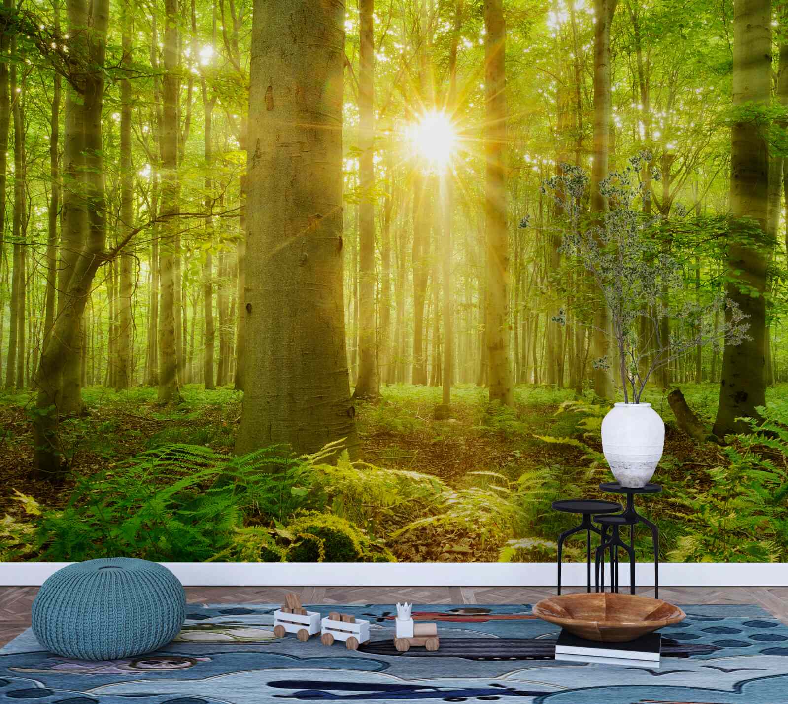 Carta da parati La luce del sole in una foresta di faggi