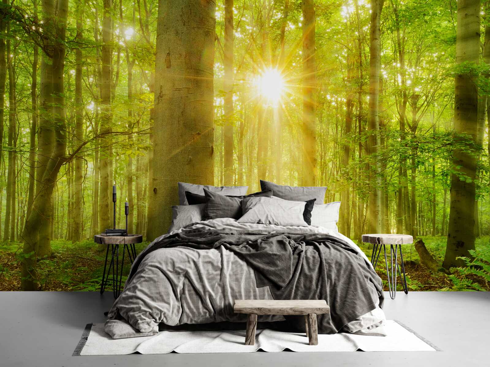 Carta da parati La luce del sole in una foresta di faggi