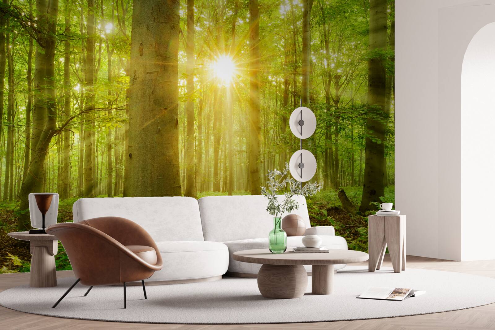 Carta da parati La luce del sole in una foresta di faggi