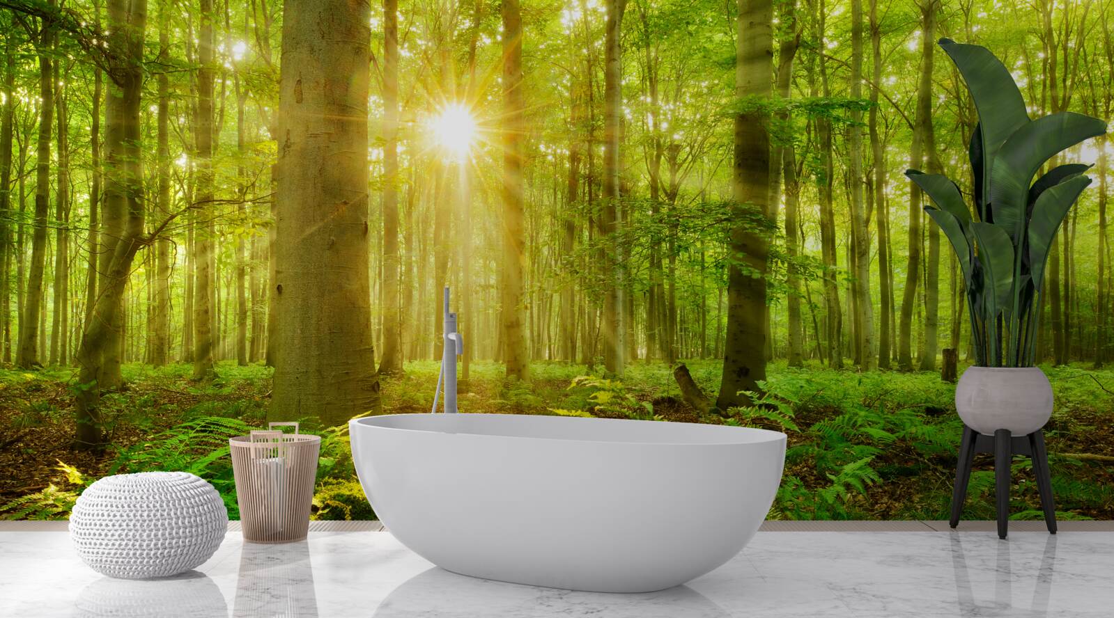 Carta da parati la foresta si anima al sole del mattino