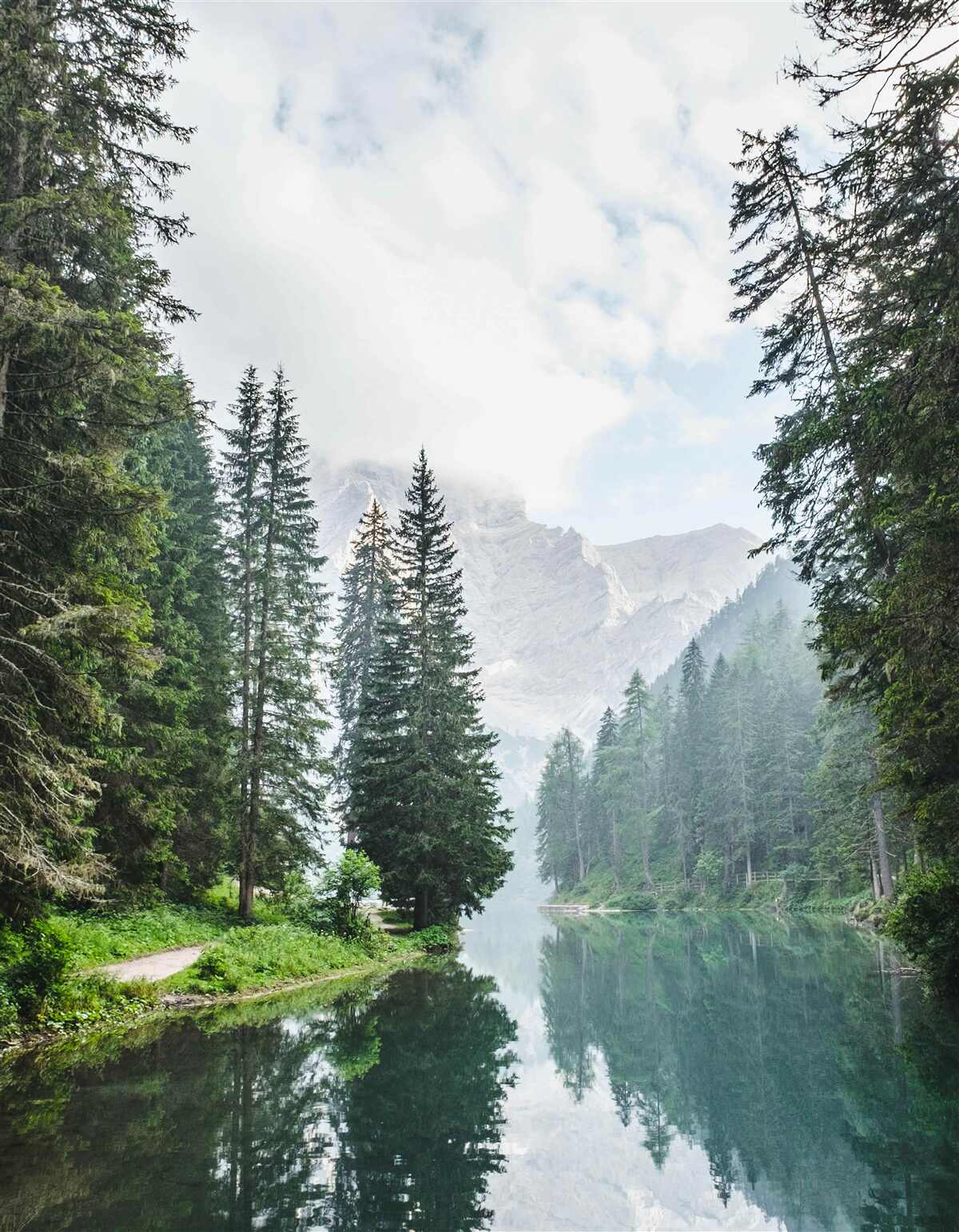 Carta da parati fiume di montagna avvolto nella nebbia scorre silenzioso