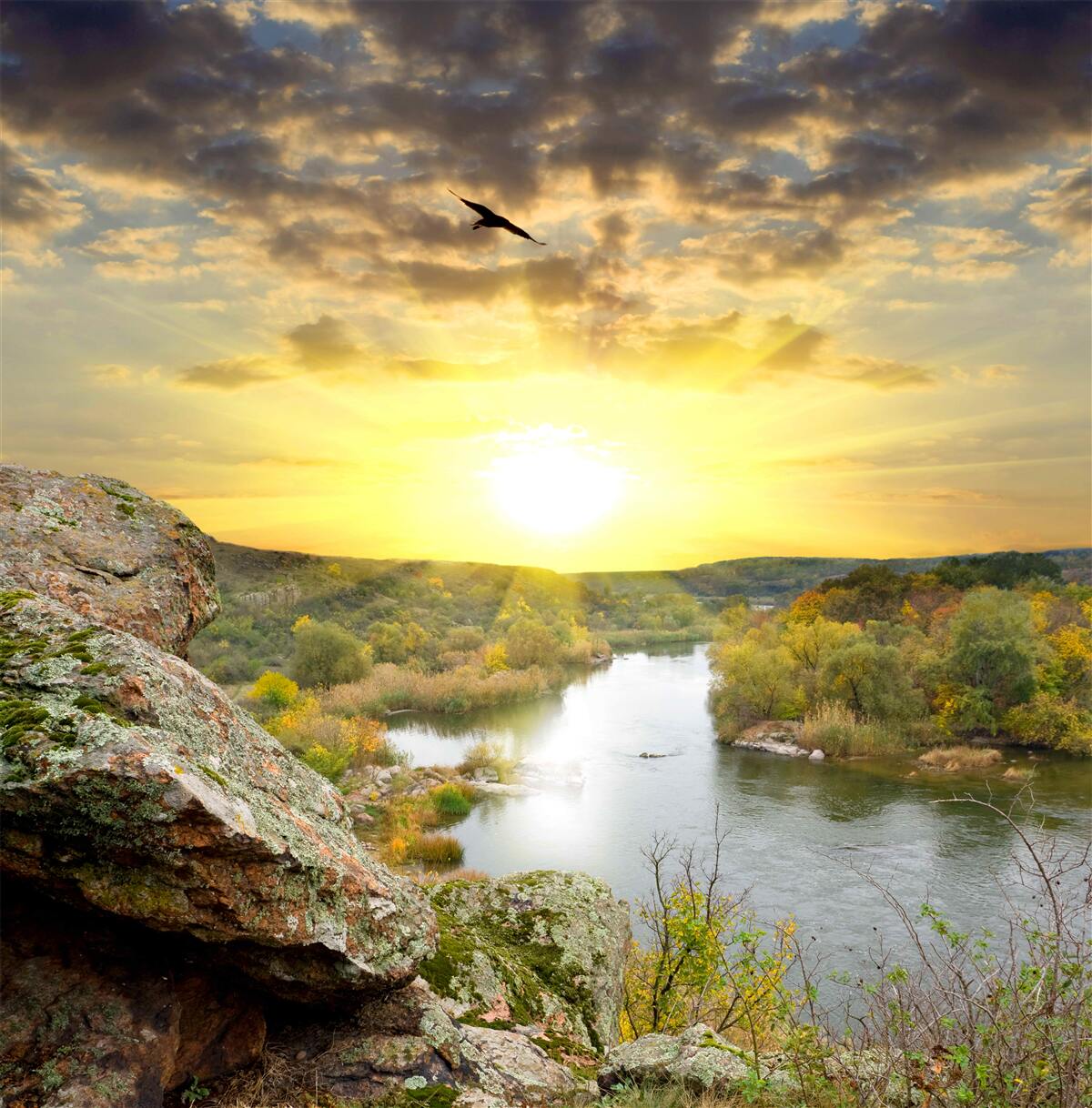 Carta da parati il sole d'autunno si trasforma in un fresco tramonto