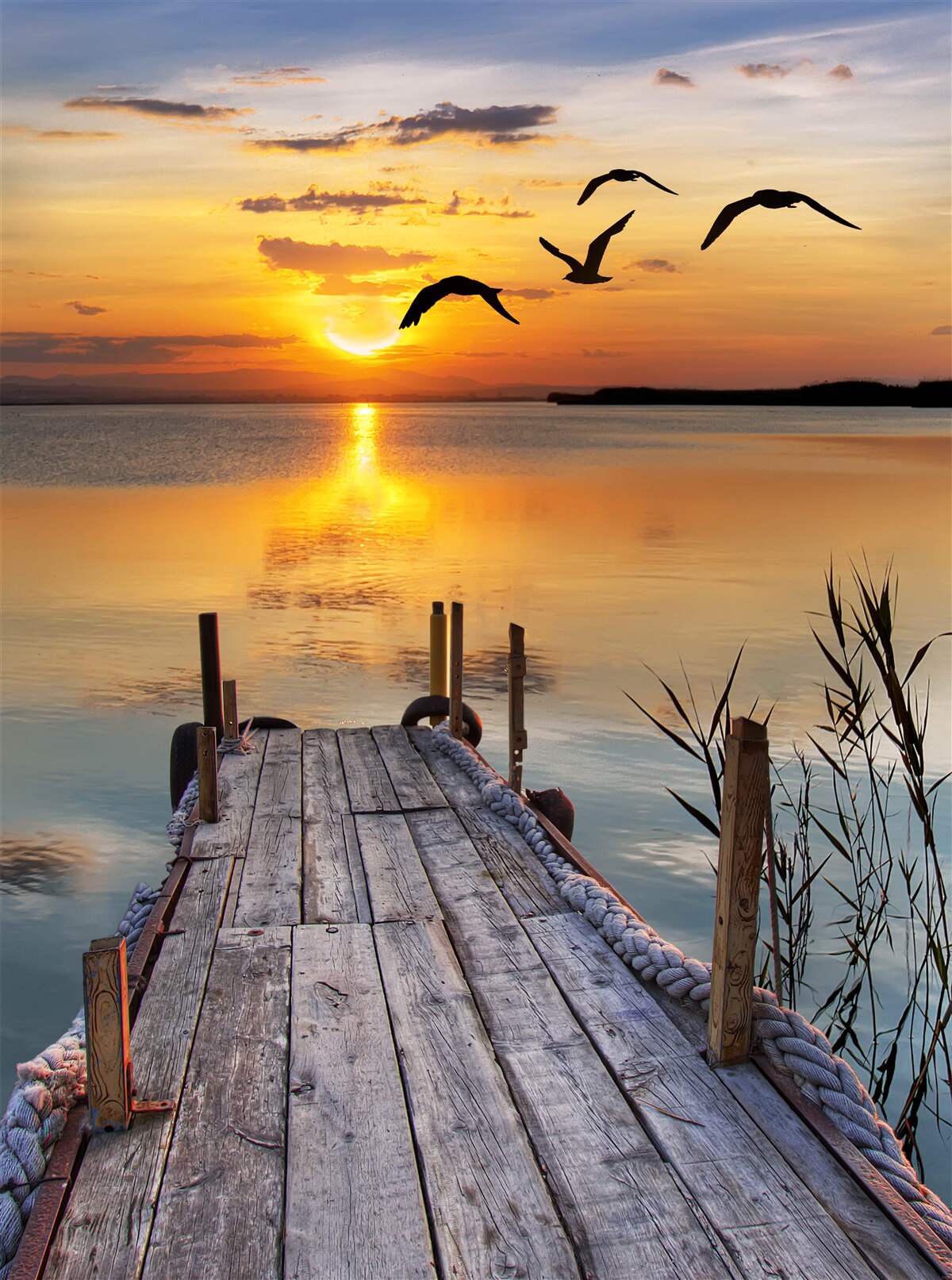 Carta da parati un caldo tramonto su un ponte dove volteggiano i gabbiani