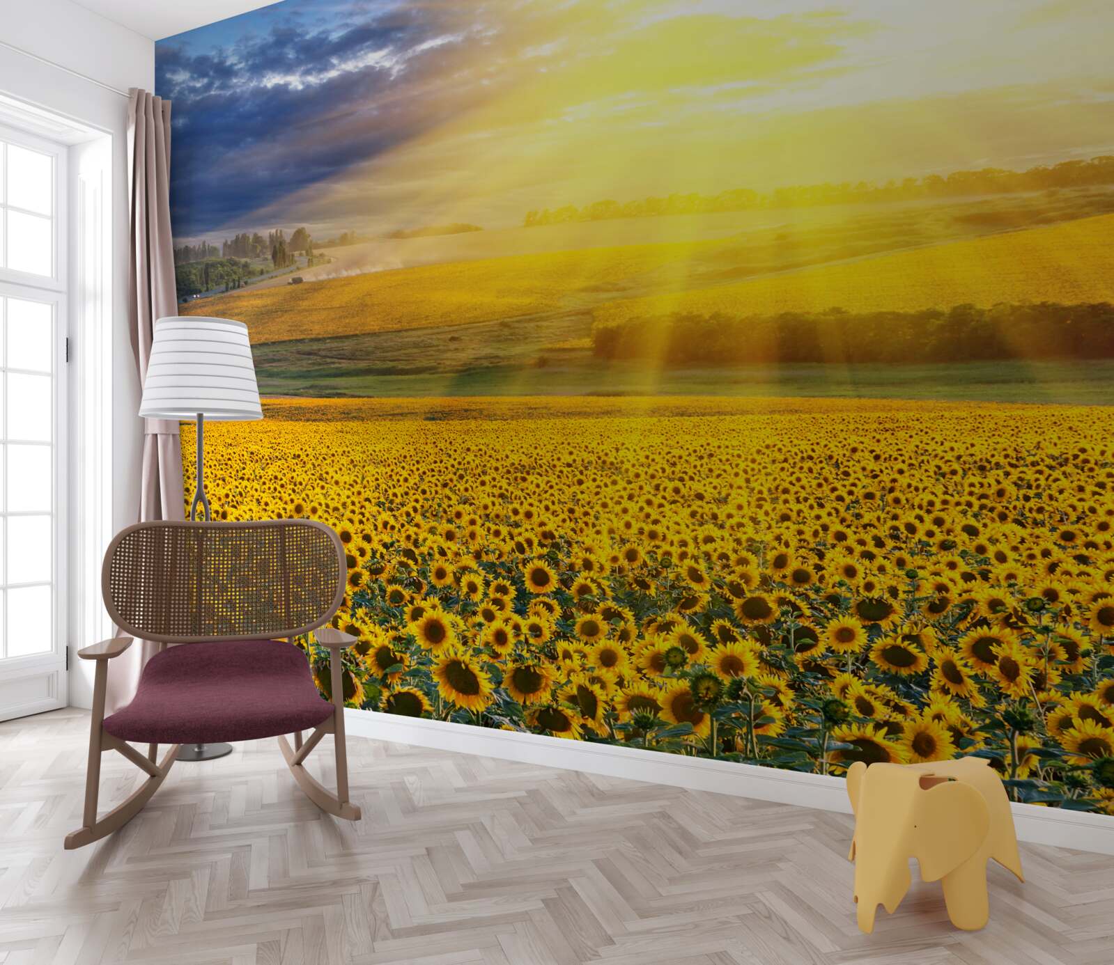 Carta da parati il sole è pieno di luminosità su un campo di rigogliosi girasoli