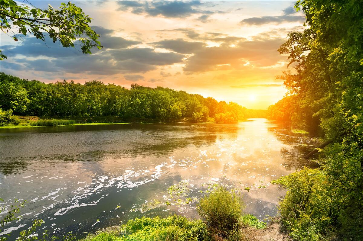 Carta da parati il sole al tramonto riscalda dolcemente il fiume della foresta