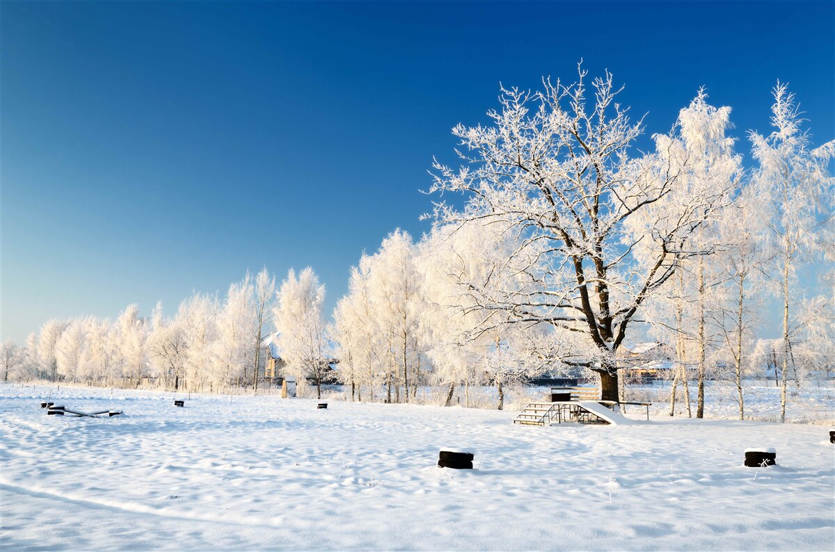 Carta da parati inverno da favola sullo sfondo di un cielo azzurro