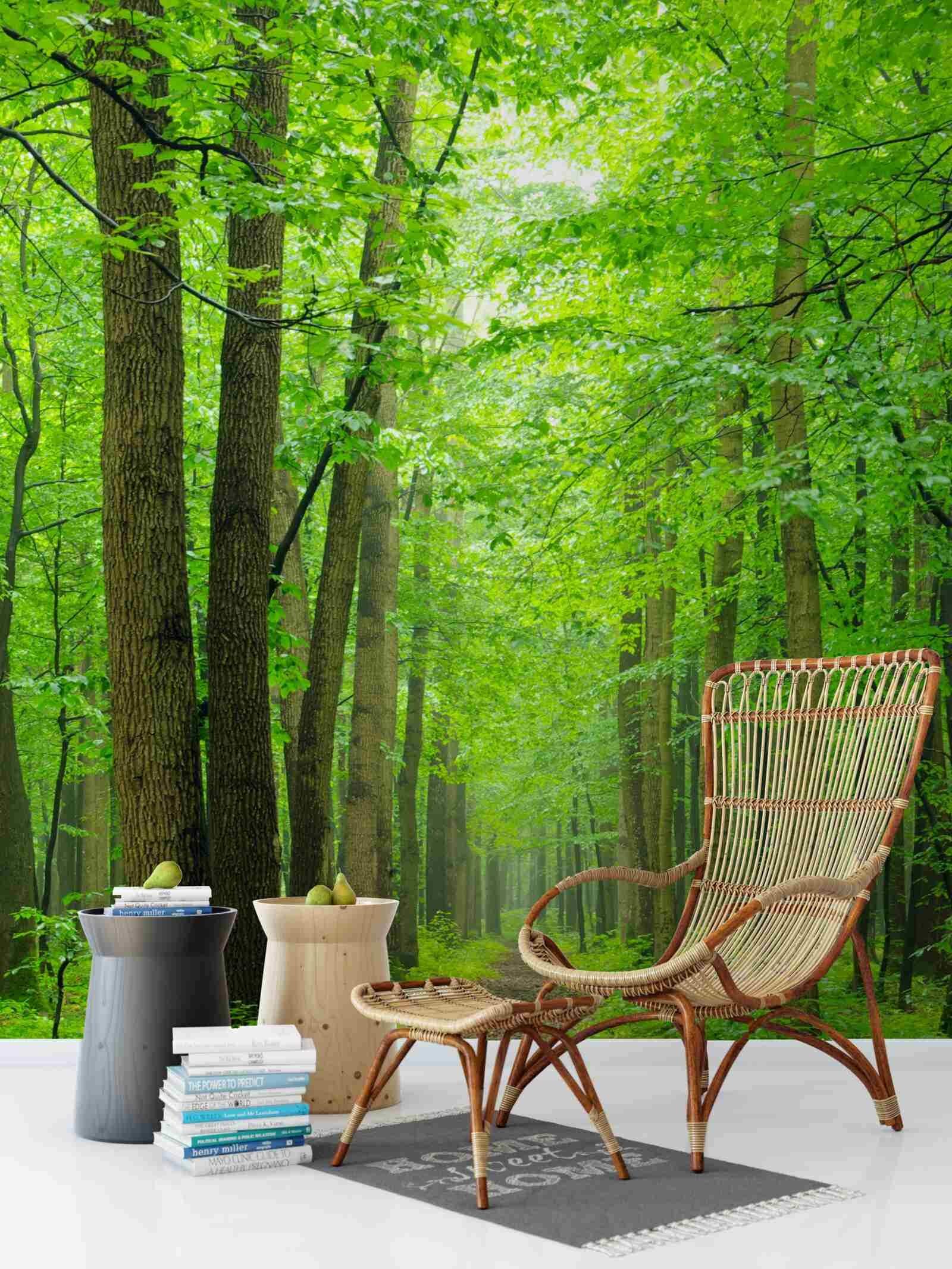 Carta da parati un comodo sentiero attraverso una graziosa foresta di latifoglie