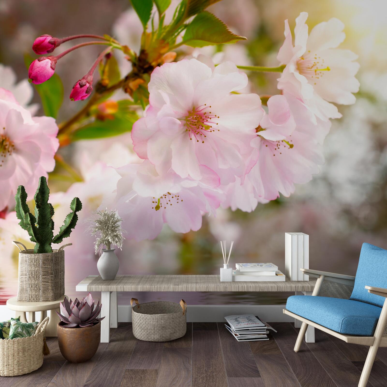 Carta da parati rami di ciliegio con fiori rosa pendono sull'acqua