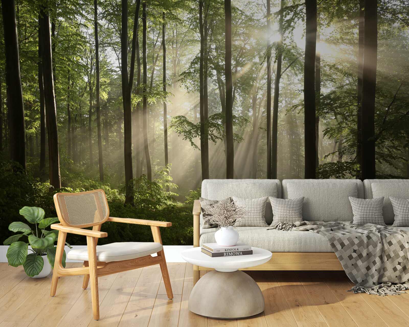 Carta da parati i raggi del sole penetrano la nebbia nella foresta