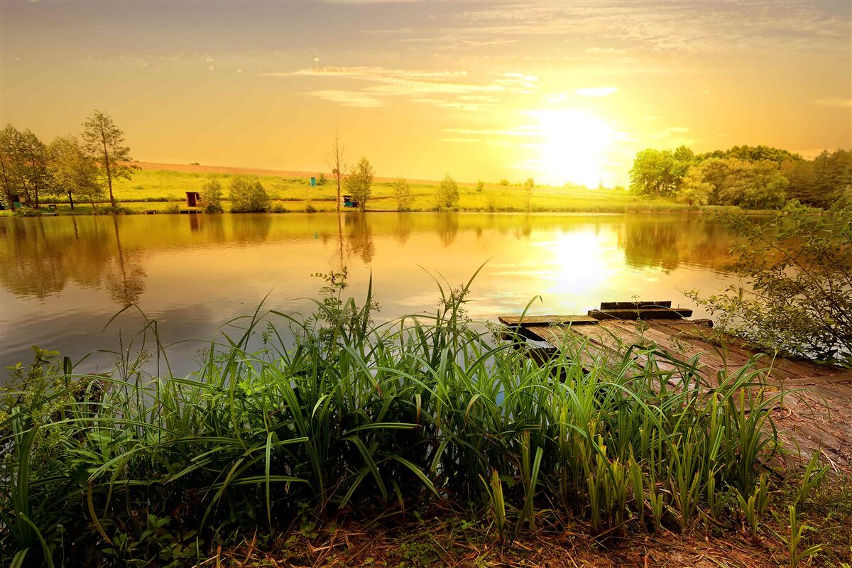 Carta da parati un'alba luminosa su un lago tranquillo
