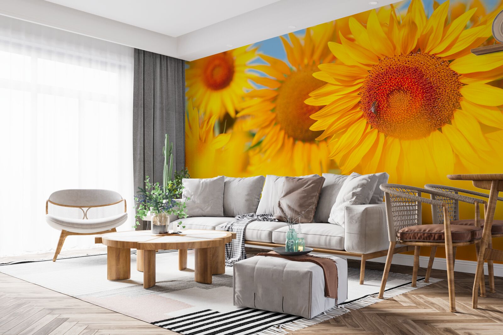Carta da parati girasoli sotto il sole