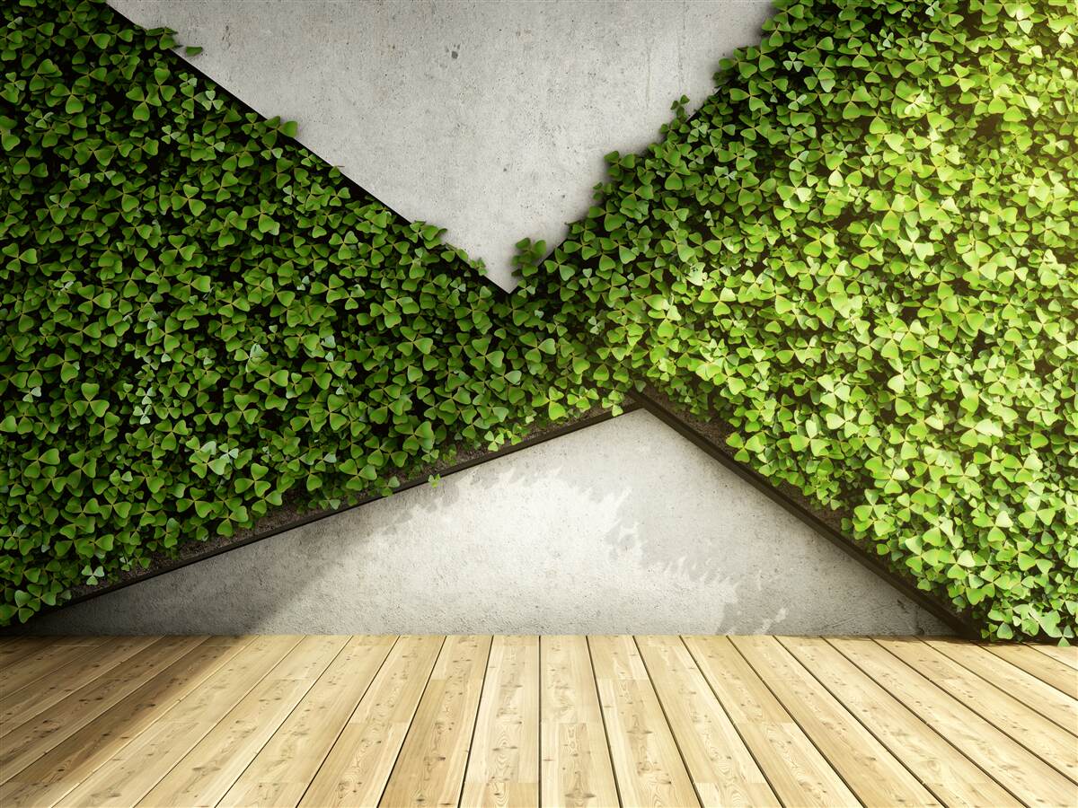 Carta da parati pavimento in parquet e parete decorata con piante vive