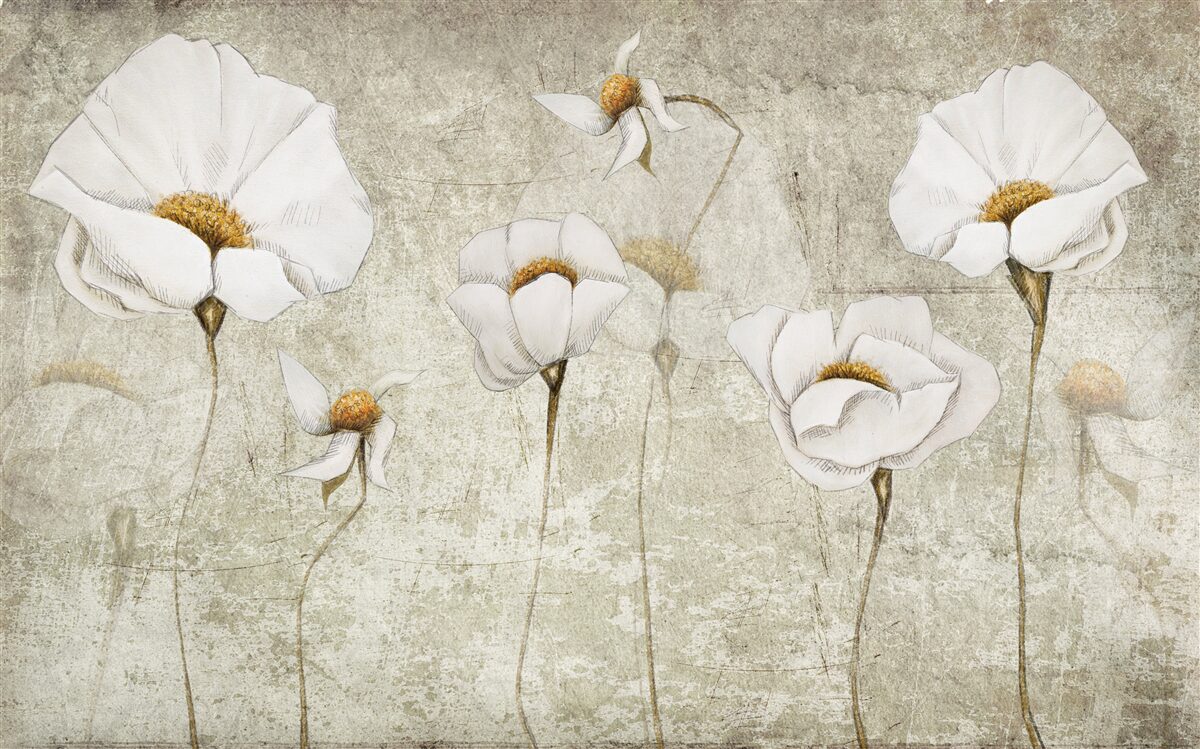 Carta da parati esili fiori bianchi che crescono in un campo