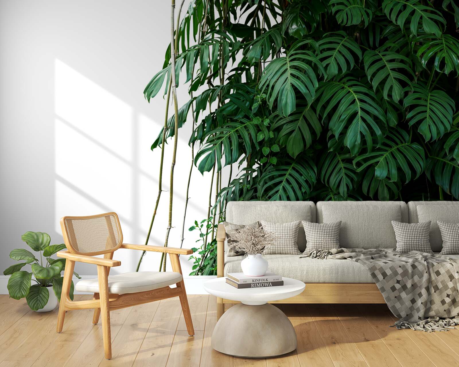 Carta da parati fitte foglie di monstera nei toni del verde