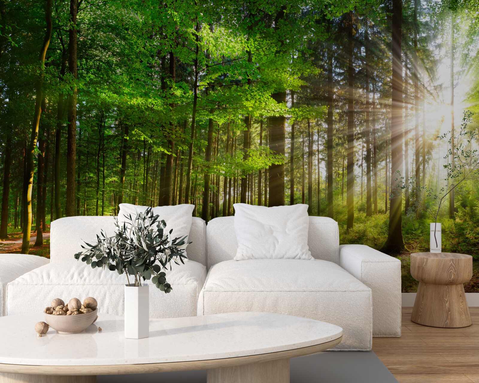 Carta da parati sole splendente in una foresta coperta di foglie verdi