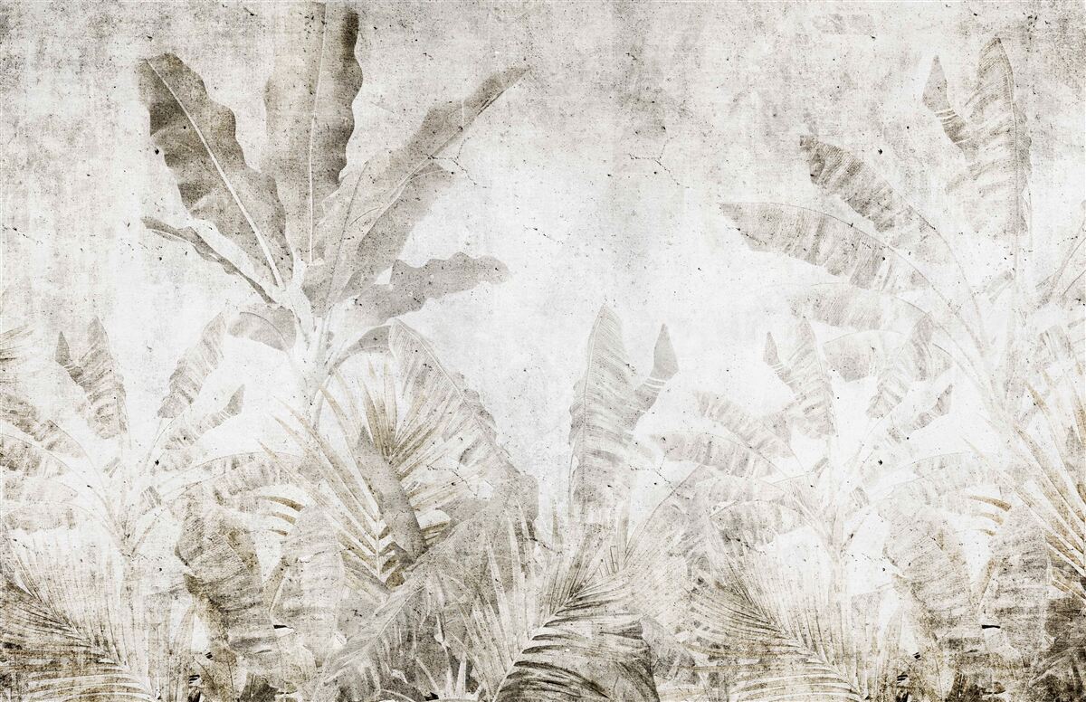 Carta da parati la nebbia avvolge le foglie degli alberi tropicali