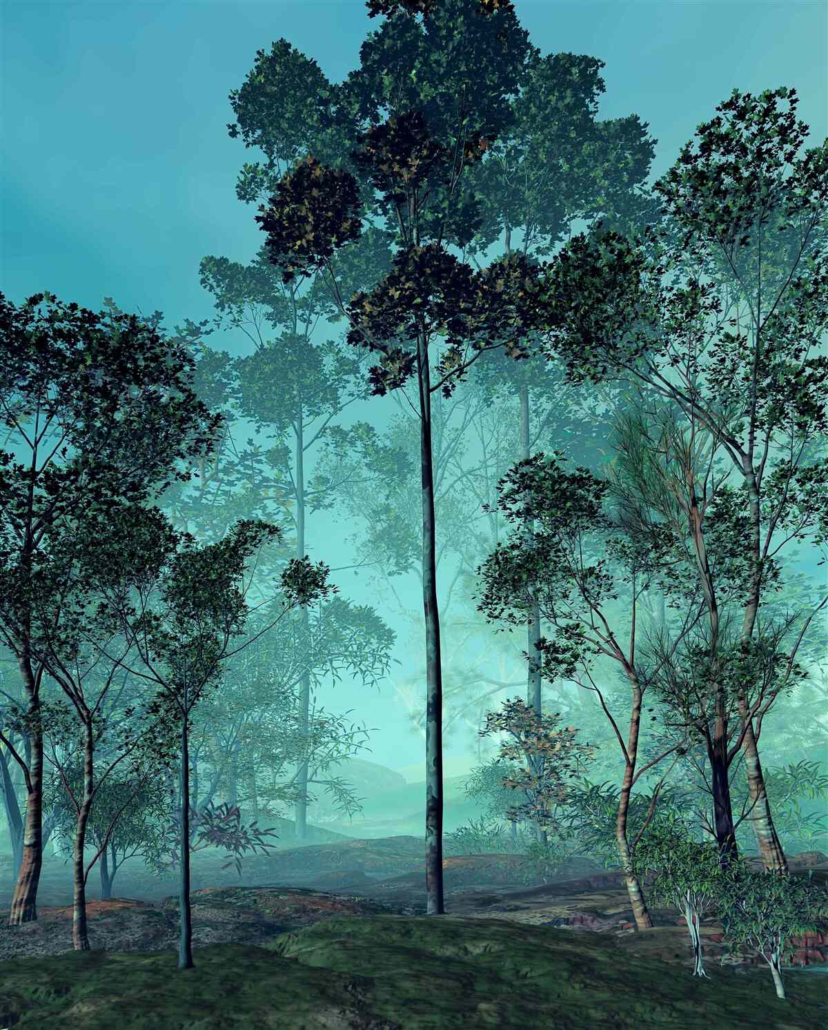 Carta da parati foresta incantevole avvolta da una fitta nebbia