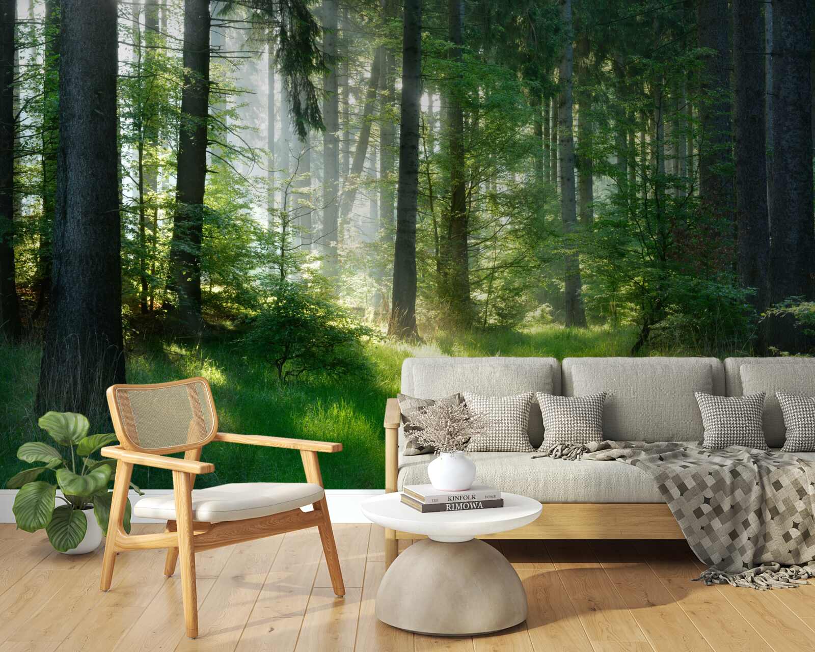 Carta da parati una mattina nella foresta, circondati dal verde