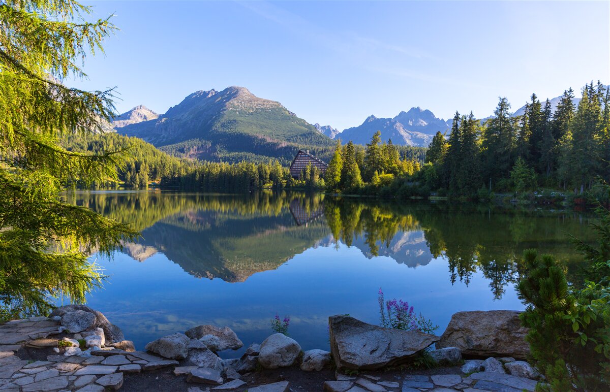 Carta da parati una giornata di sole lungo un placido fiume di montagna