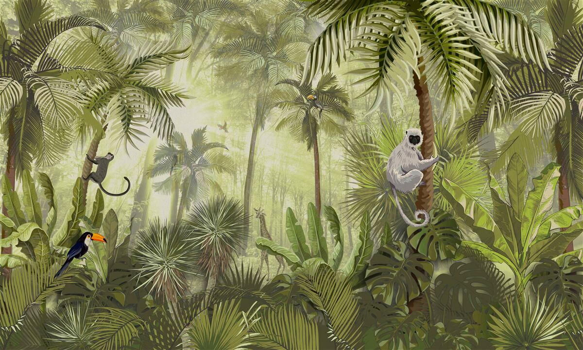 Carta da parati nebbia mattutina nelle regioni tropicali