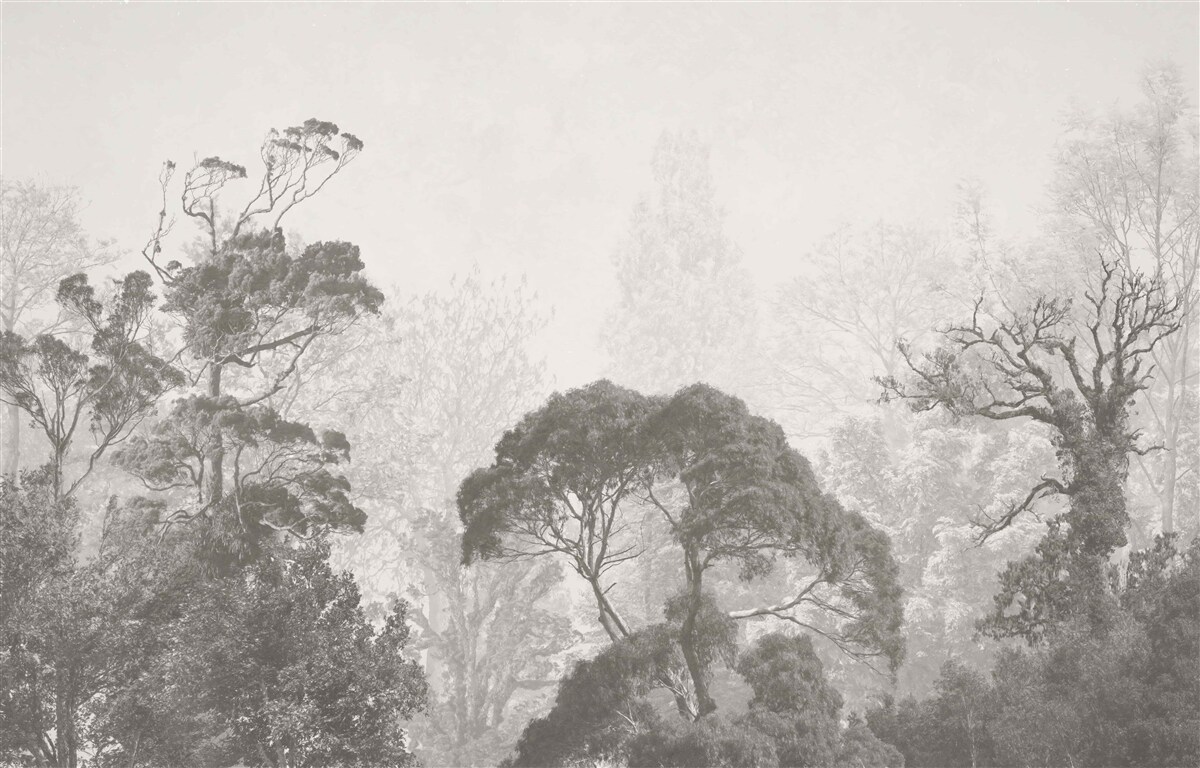 Carta da parati la nebbia avvolge le cime degli alberi tropicali