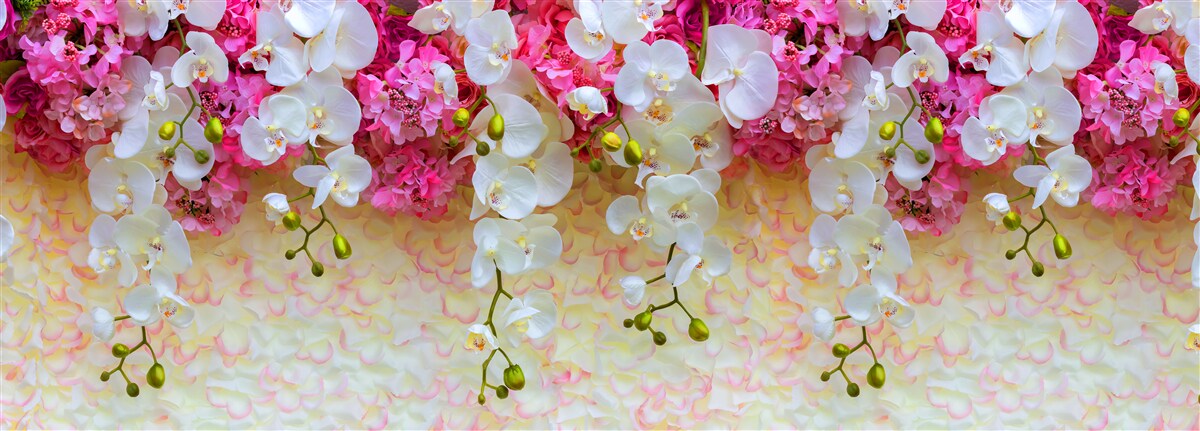 Carta da parati orchidee i cui fiori sono cadenti