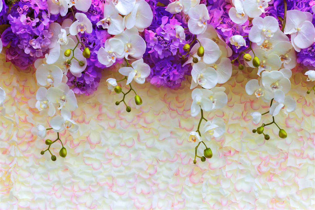 Carta da parati Orchidee bianche come la neve e fiori lilla