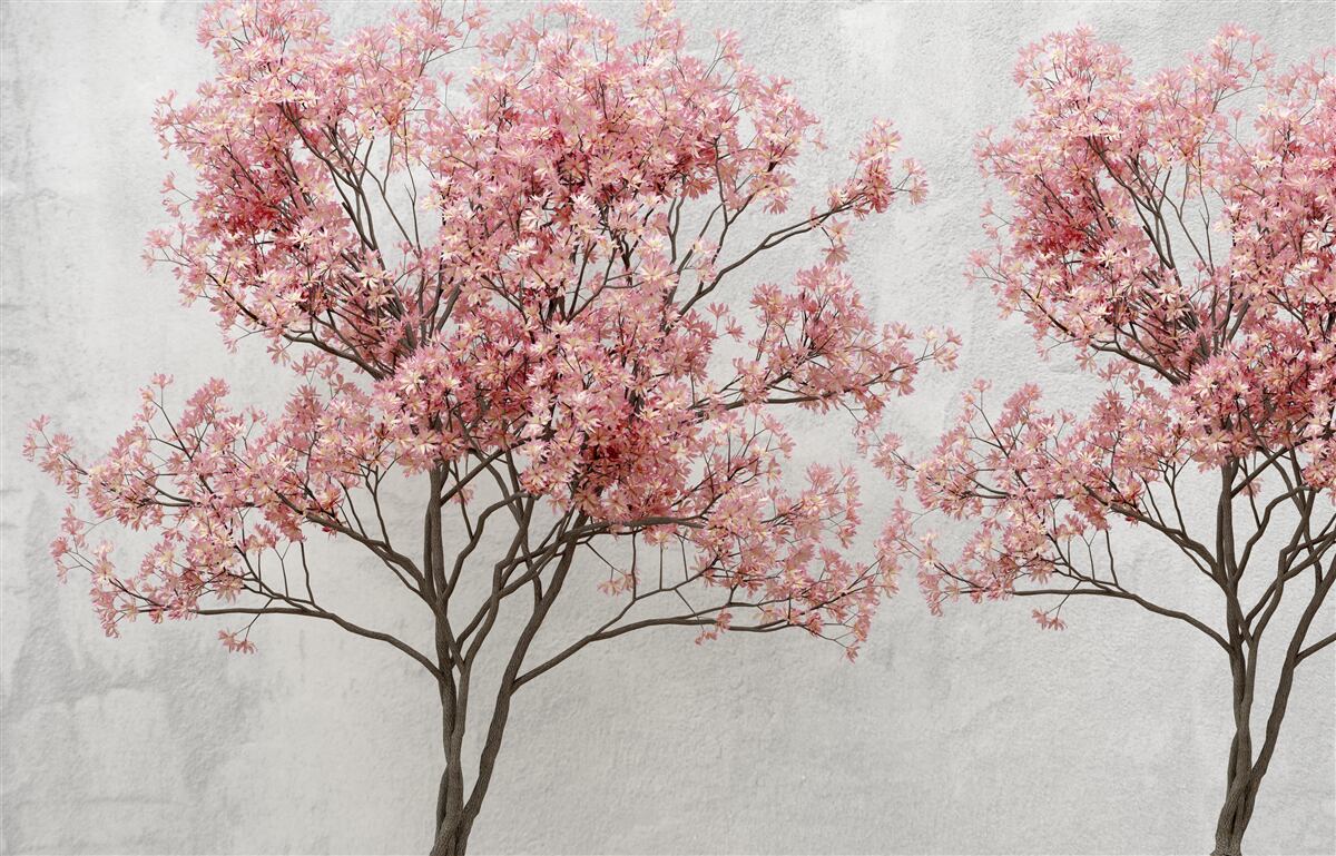 Carta da parati la nebbia del mattino avvolge i fiori rosa di sakura