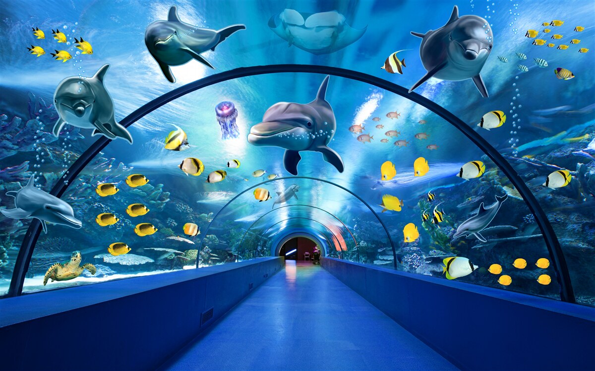 Carta da parati ci sono delfini e pesci nell'acquario