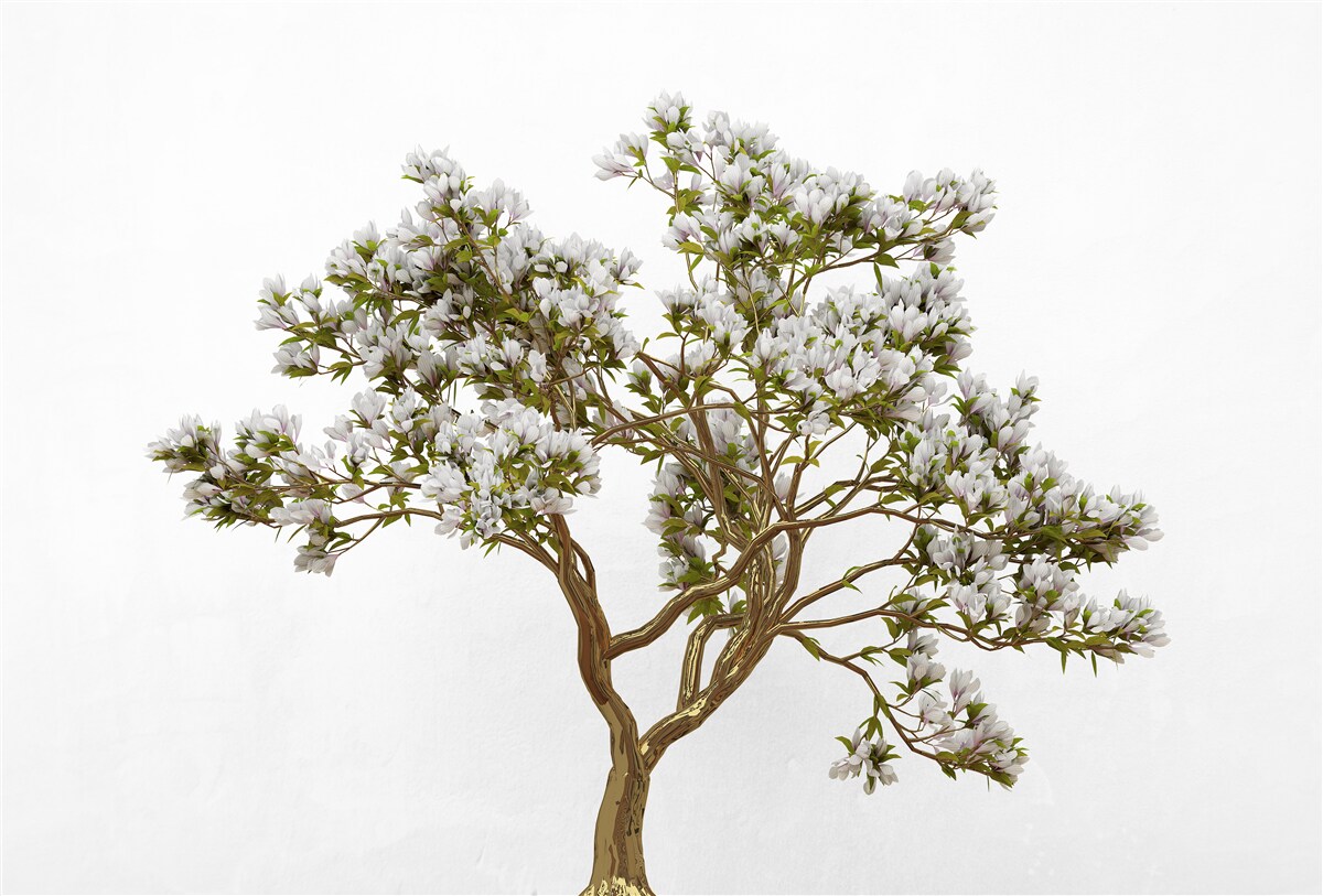 Carta da parati un bonsai solitario ha una bellezza aggraziata