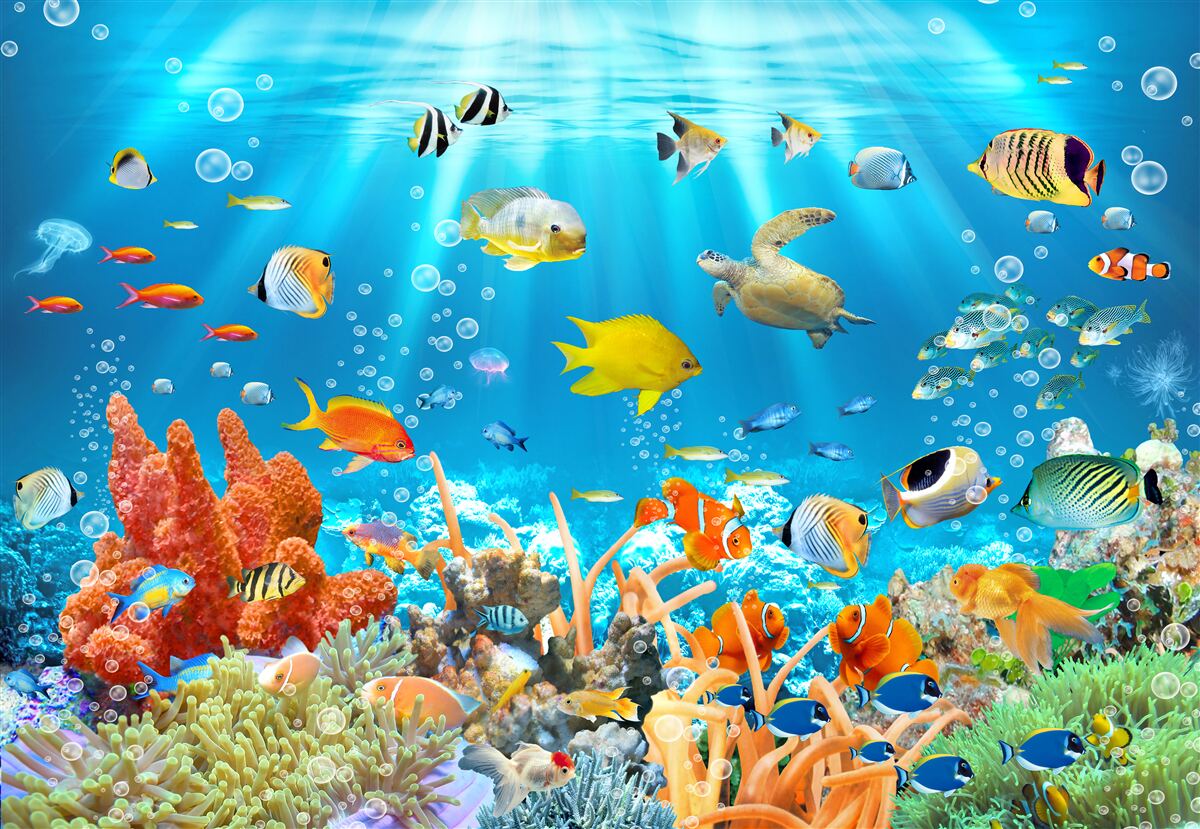 Carta da parati il mondo vibrante delle profondità sottomarine