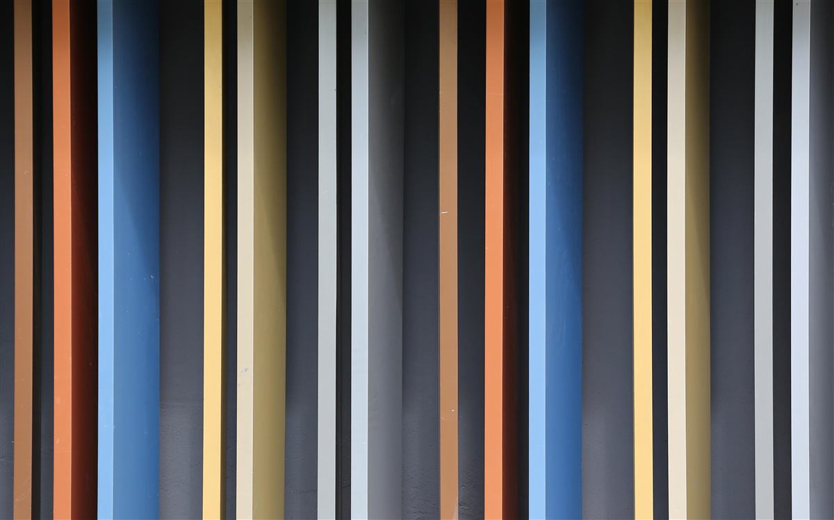 Carta da parati linee colorate che corrono verticalmente